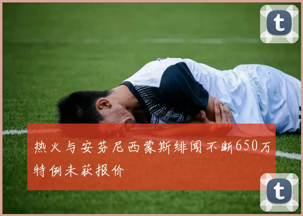 热火与安芬尼西蒙斯绯闻不断650万特例未获报价